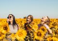 Chicas riendo entre girasoles