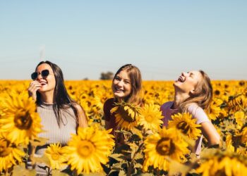 Chicas riendo entre girasoles