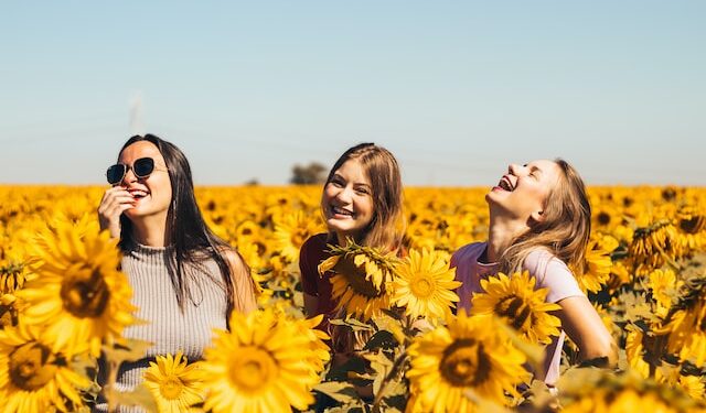 Chicas riendo entre girasoles