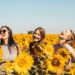 Chicas riendo entre girasoles