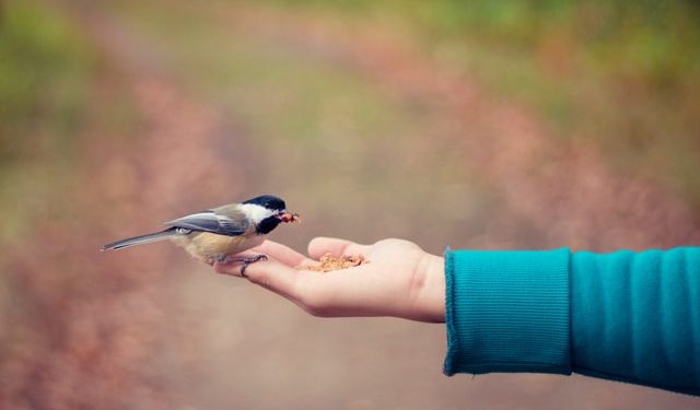 Asteya, enemigos de lo ajeno