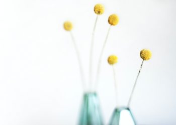 Aparigraha: menos es más