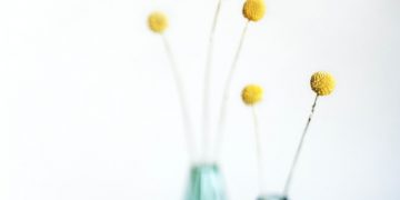 Aparigraha: menos es más