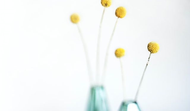 Aparigraha: menos es más