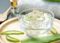 Hojas de Aloe Vera