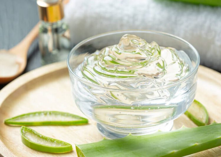 Hojas de Aloe Vera