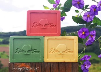 Champús sólidos 2 en 1 de Dr. Tree