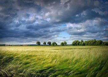 Paisaje con viento, Santhsha