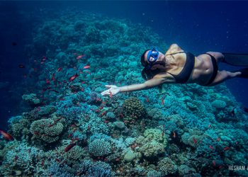 Amanda Martí practicando el buceo en apnea