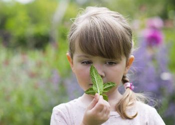 Ganadores del Premio Weleda Premio Weleda Open Garden Open Garden2021