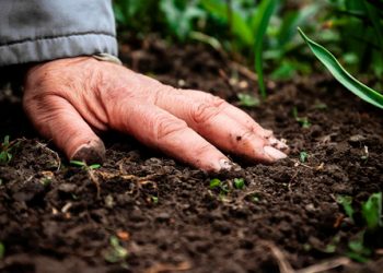 Matchfunding contra la desertificación