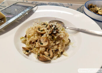 Risotto de setas