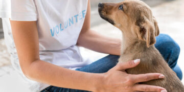 Adoptar y esterilizar