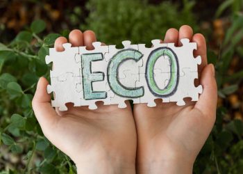 Sellos ecológicos en cosmética, guía completa para entender certificaciones ecológicas